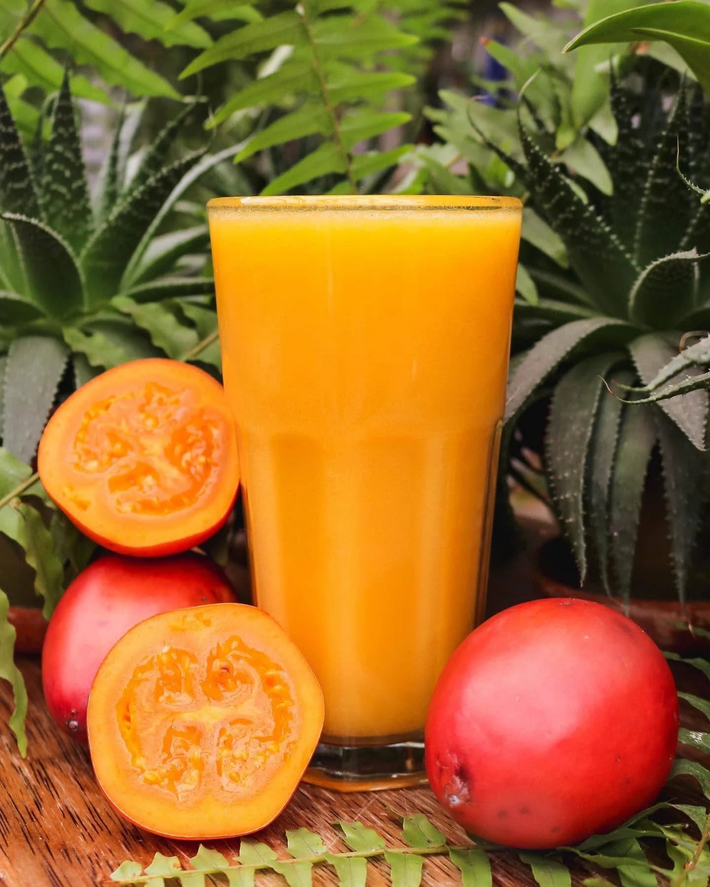 Tomate de árbol